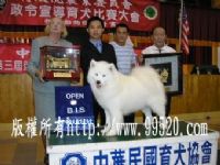 大家快來看...我家ㄉ狗會微笑