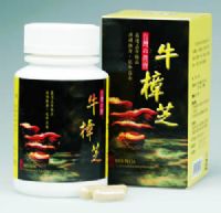 愈來愈  「癌」重!! 7分38秒添1例罹癌!!台灣癌症基金會與台北醫大研究發現：野生牛樟芝 抑癌見療效!! 