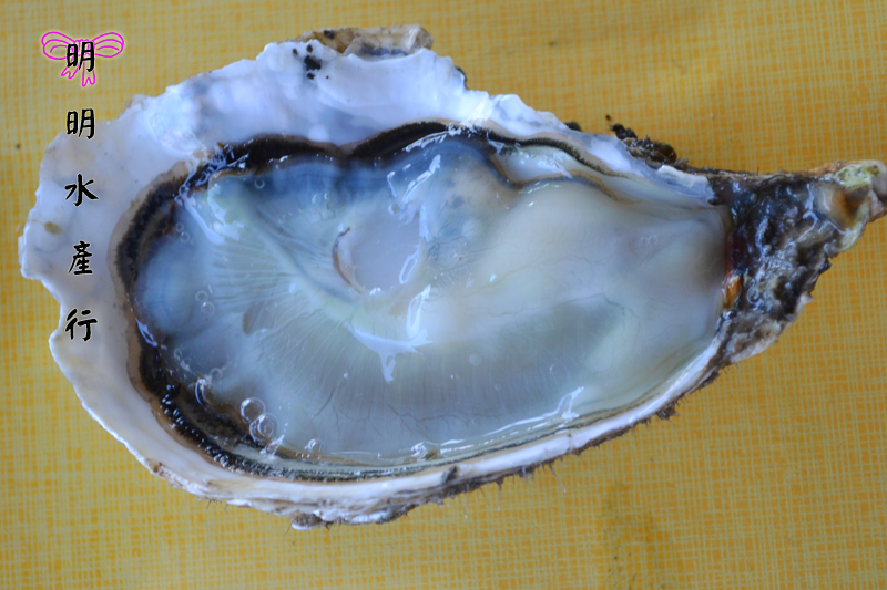 红豆杉销路_海鲜大餐_海鲜的销路