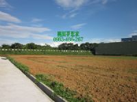 中壢南方莊園農地、中壢福嶺路農地、830坪 中央大學旁_圖片(1)