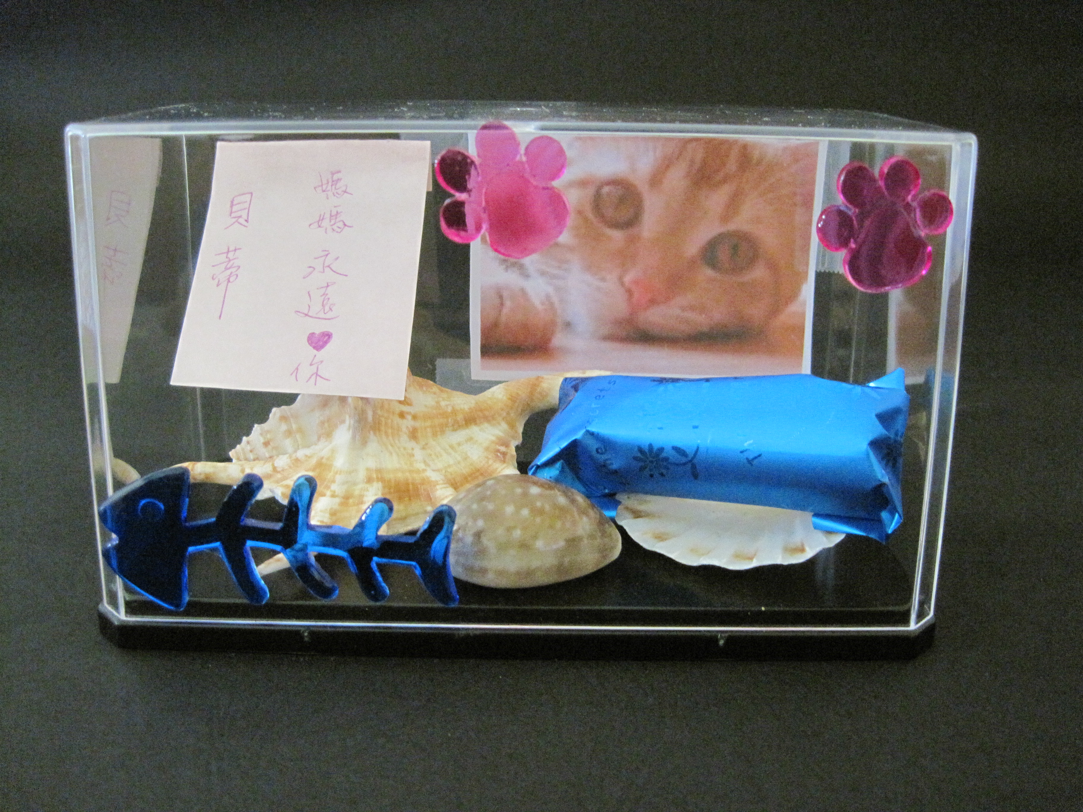 仙園寵物天堂-寵物往生咨詢寵物火化服務 - 20090915120954_988724624.JPG(圖)