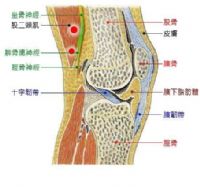 可以不要受【退化】之苦嗎？_圖片(1)