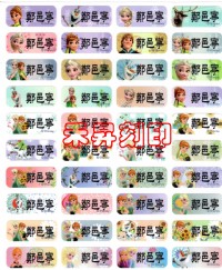 （510）冰雪奇緣（小張）愛紗、Elsa、附贈收納袋一個、小朋友上學必備姓名貼紙、特價每份：120元【客製化 學生貼】_圖片(1)