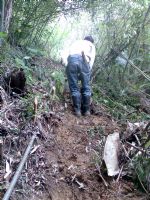 專業承接各種墓園和果園的除草維護工作_圖片(2)