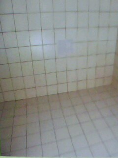 台中 平價 禾盛萬事達人&環保有限公司 - 20100319191605_998094640.jpg(圖)