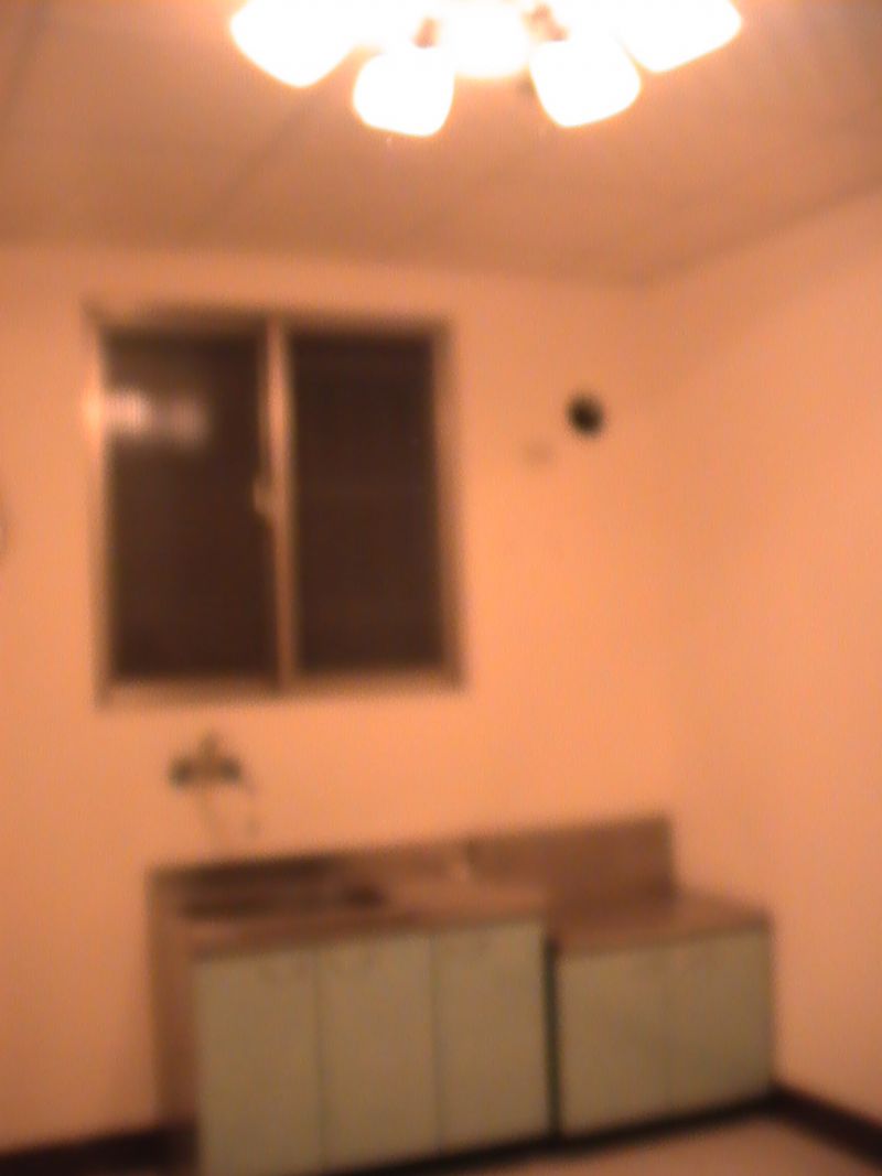 乾淨美公寓 - 20100301165735_434429937.JPG(圖)
