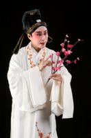 千里風雲會─2010台崑浙崑攜手聯演_圖片(1)