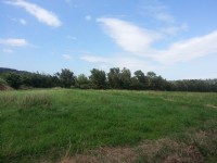 楊梅牲牲路620巷農地_圖片(1)