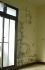 高雄市-專業防水抓漏-輝奕防水工作室:屋頂、外牆、陽台、窗框、浴室專業防水抓漏、壁癌處理。_圖