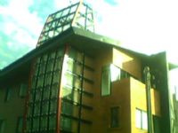 專業鐵工、不銹鋼門窗、鐵門、鐵窗、雨棚、欄杆、花架、玻璃屋_圖片(1)