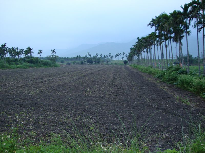 光復鄉農地 - 20100424170753_103629984.JPG(圖)