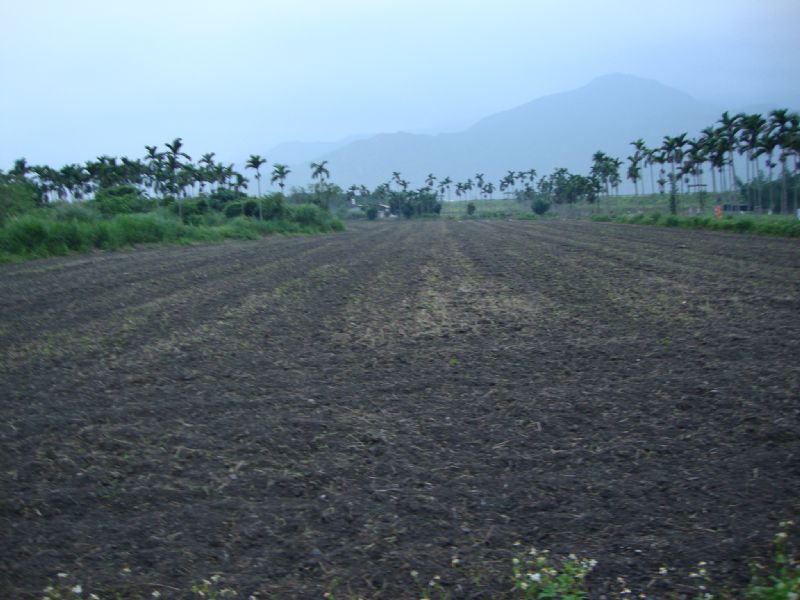 光復鄉農地 - 20100424170753_103718734.JPG(圖)