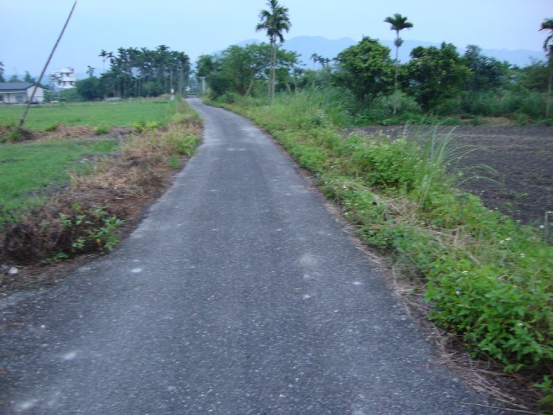 光復鄉農地 - 20100424170753_103766125.JPG(圖)