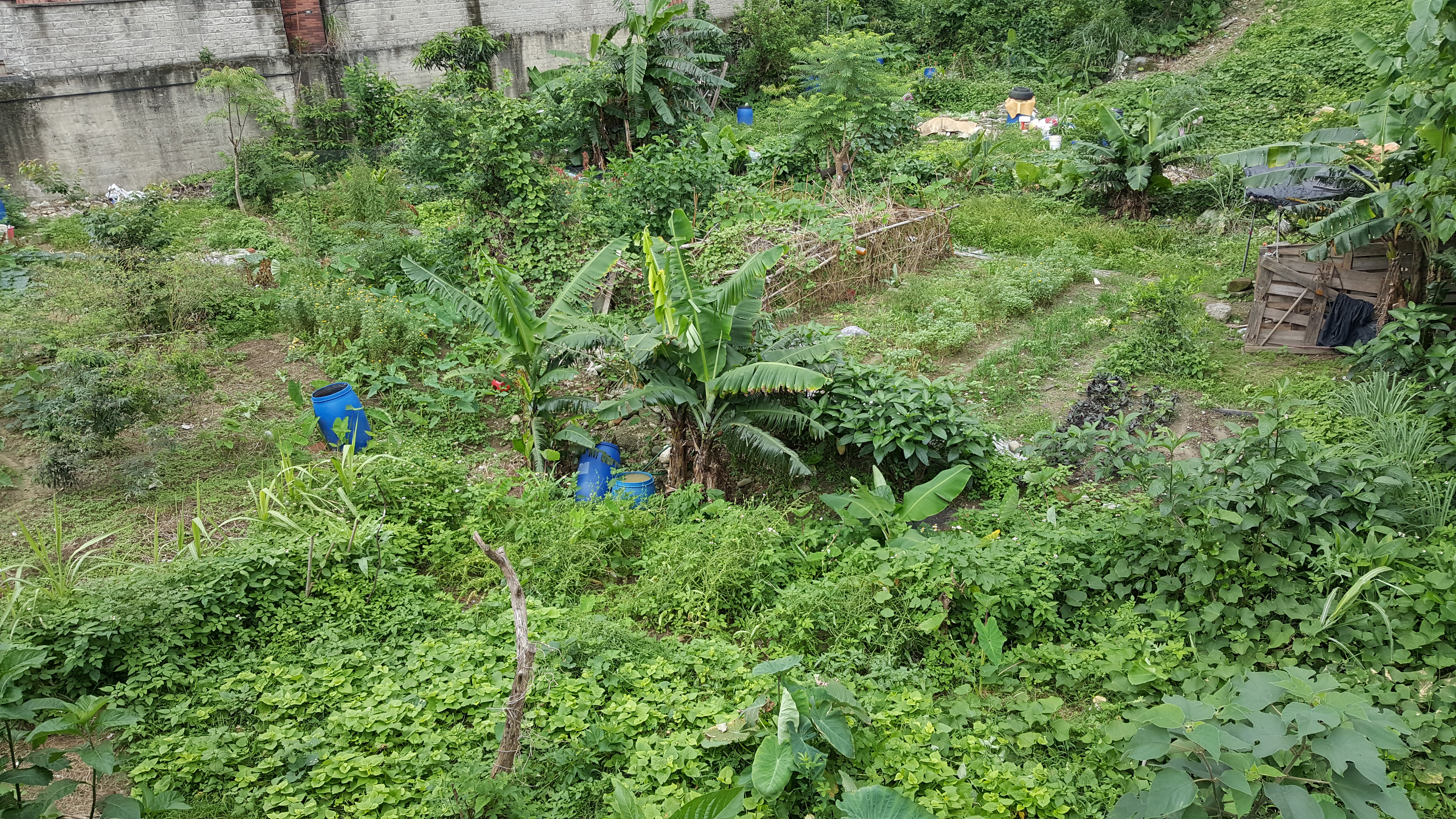 ＊～鶯歌區　鶯桃路~~鶯歌㊣１０米路旁建地==土地總坪數：１４７坪、前後臨路、每坪單價： ２８萬、交通便捷～＊ - 20160524150016-73332573.jpg(圖)