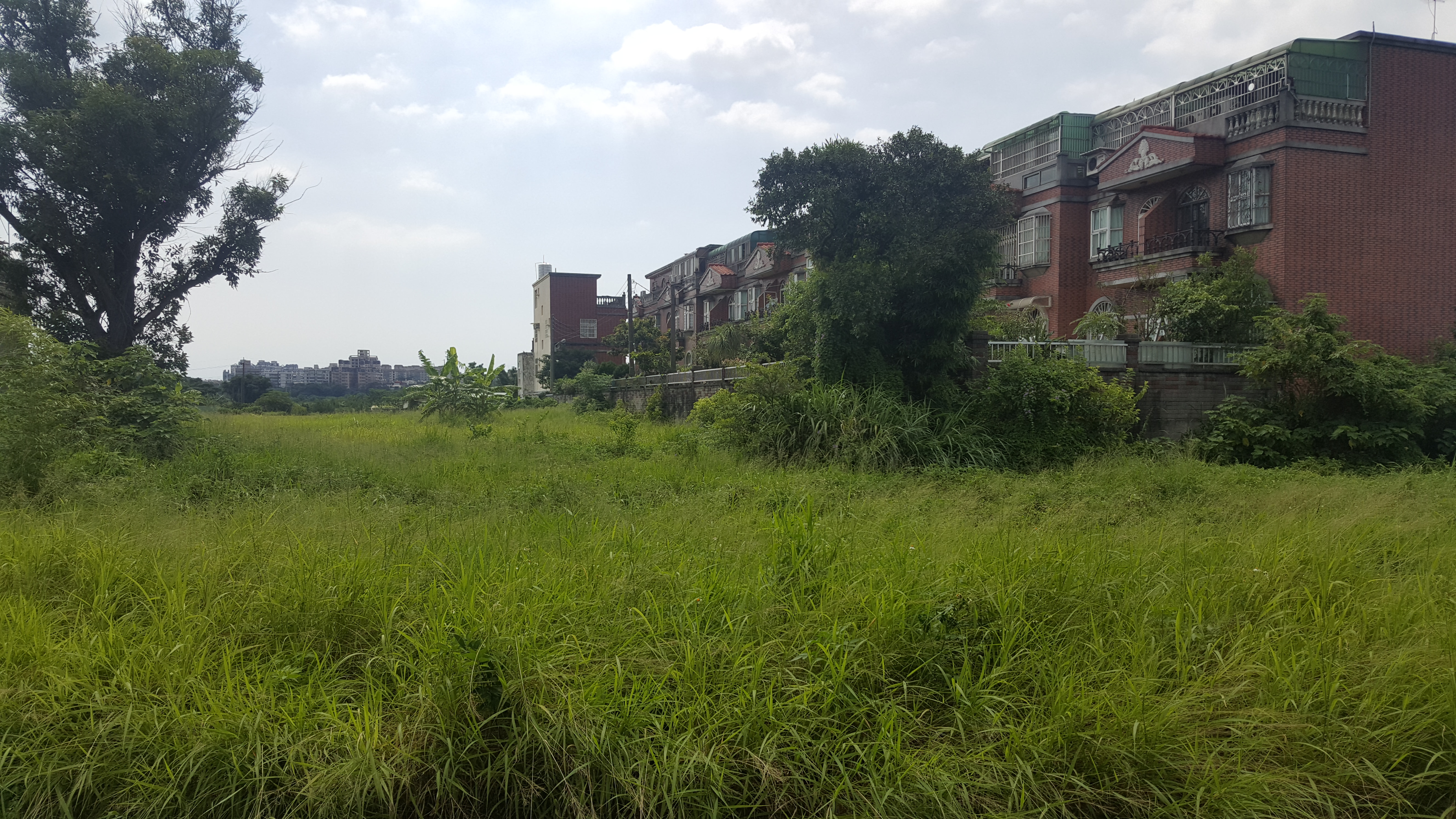 ＊～八德區　東泰街~~茄苳國小都計內農+建==土地總坪數：２３０坪、臨路寬：１０米路、交通便捷～＊ - 20170721114506-608849072.jpg(圖)