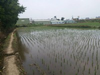＊～桃園市　國際路一段~~國際段徵收農地==土地總坪數：１２０坪、捷運紅線站旁、投資報酬率高～＊_圖片(2)