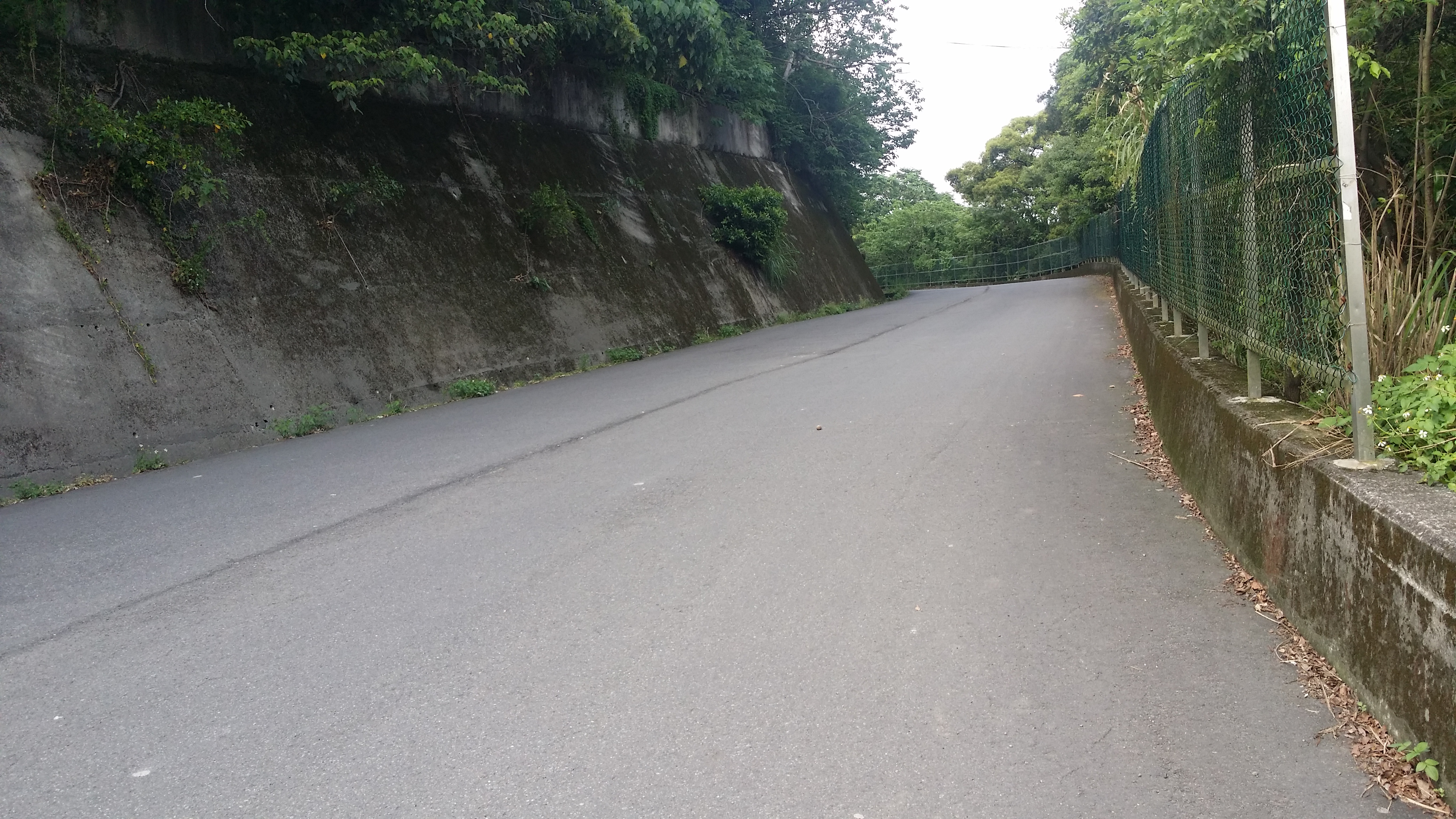 ＊～大溪區　大鶯路~~大鶯路工用業地廠房==土地總坪數：１５１０坪、全區最低價、廠房年收租：３００萬、近大溪交流道～＊ - 20170825102505-628292851.jpg(圖)