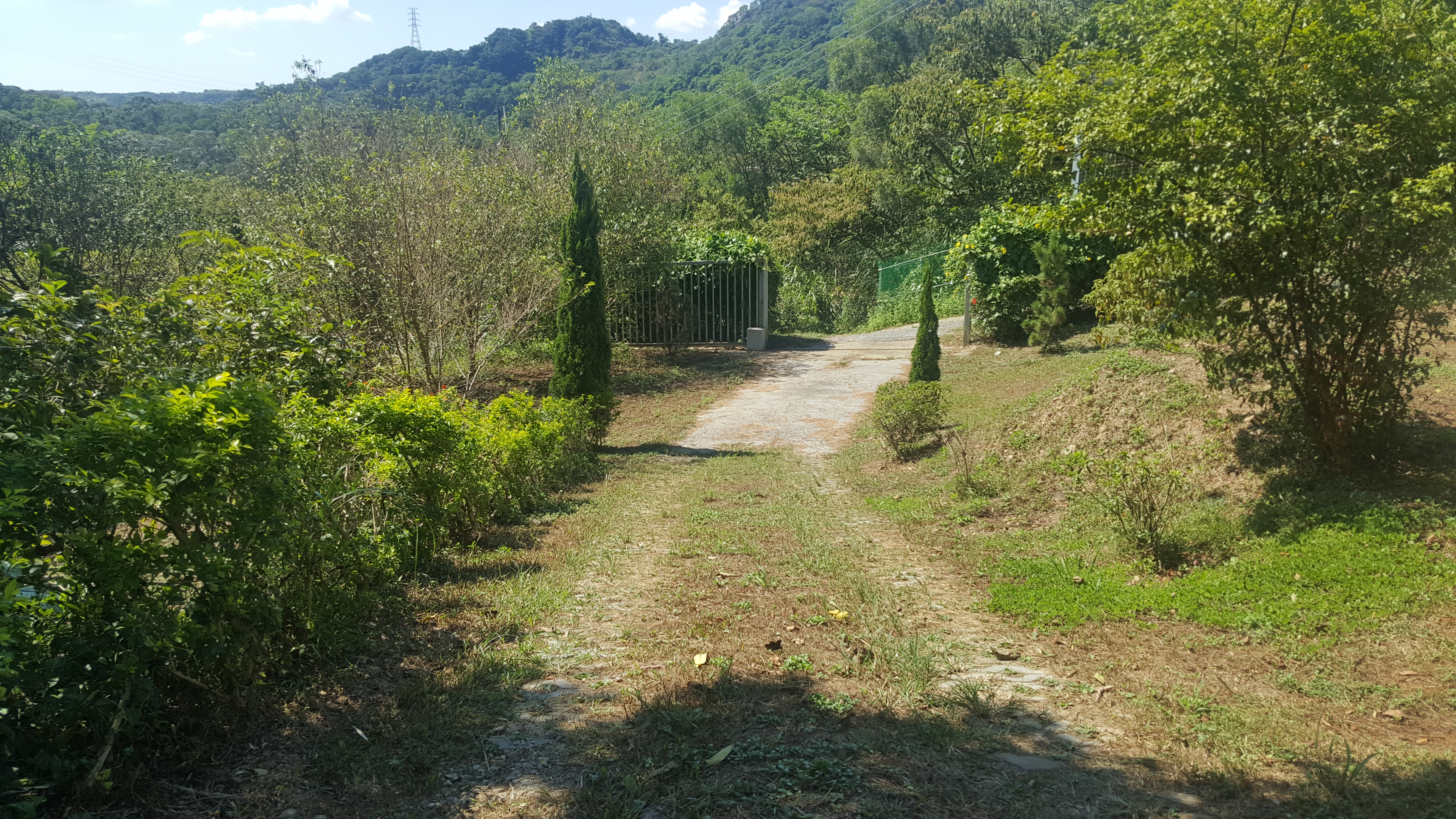 ＊～龜山區　大同路~~龜山養生有機生態農場==土地總坪數：１１５３坪、有一度假小木屋有水有電～＊ - 20170831124606-154880835.jpg(圖)