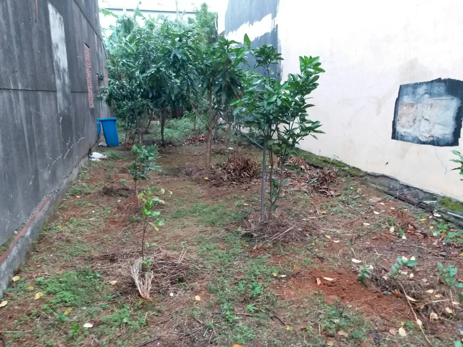 ＊～桃園市　新興街~~開南大學旁農店地==土地總坪數：４９坪、㊣１０米路旁、緊鄰學區～＊ - 20171119175200-85290565.jpg(圖)