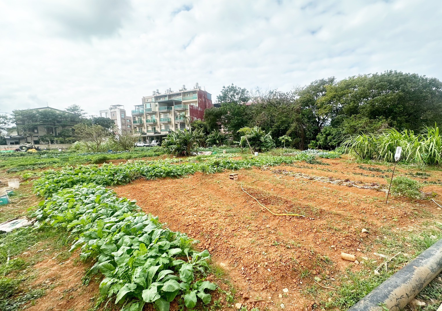 ❤️☞中工二期三面臨路都計內農☜❤️ - 20251211112049-423391667.jpg(圖)