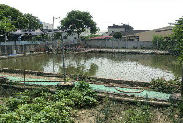 雲林虎尾農舍.古農莊.  - 20170412142836-978967618.jpg(圖)