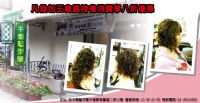 「千惠髮型屋」專業國際美髮美容金髮獎名師操刀，給您超值特價8折優惠!@8868發包王部落格-提供消費者買屋與賣屋等專業房屋仲介服務最佳的資訊媒體服務平台,團購買屋,集體看屋,購屋,新成屋,預售屋,買屋_圖片(1)