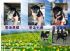 南投縣市-雲海魚龍莊-日本柴犬出售-南投寵登號100099_圖