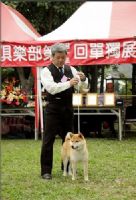 Taiwan.kao.cho[台灣.高秋莊.日本柴犬.國際專業犬舍]_圖片(1)