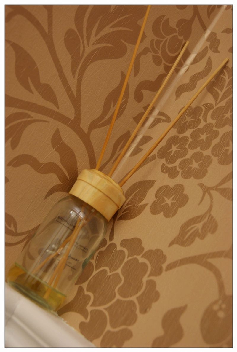 怕肌膚問題阻礙交朋友嗎?今夏成為全場的焦點~ - 20100805160920_996942171.jpg(圖)