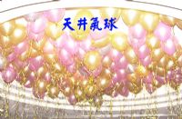 168超級汽球網,天井氣球 _圖片(1)