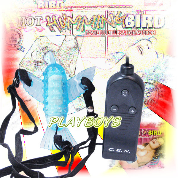 【超馬力穿戴蜂鳥】情趣用品店 板橋縣民大道 - 20140220162746-969001395.jpg(圖)