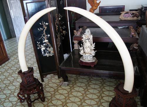 【待售】象牙雕觀音像 / 收藏珍品古董 / 宗教藝品 / 含證明書、象牙資料登記卡 - 20110306225317_426062171.jpg(圖)