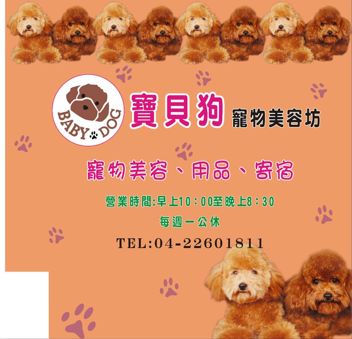 寶貝狗寵物美容坊 - 20101129193509_31645734.jpg(圖)