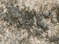 止滑 防滑 止滑工程 止滑劑 石材清洗劑 磁磚清潔劑 超淨亮 防滑大師 地面工程 一慶科技有限公司 - 20110923155739_766413640.JPG(圖)