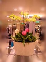 桃園縣花店_圖片(2)