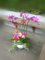 林口區花店.鶯歌區花店.三峽區花店_圖片(3)