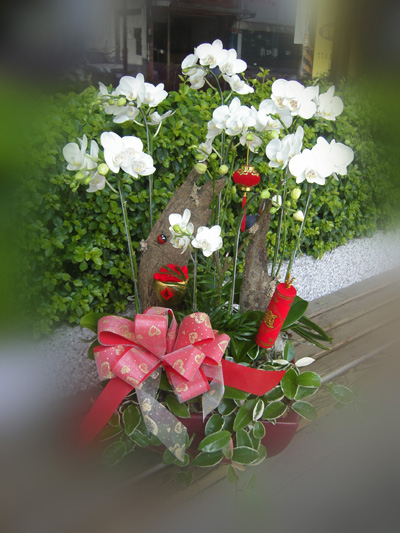 林口區花店.鶯歌區花店.三峽區花店 - 20110621211324_664502351.jpg(圖)