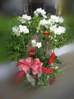 林口區花店.鶯歌區花店.三峽區花店_圖片(4)