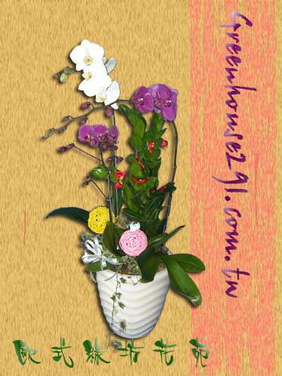 桃園優質花店推薦~歐式綠坊花苑 - 20111029192818_889617918.jpg(圖)