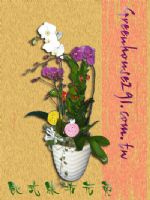 桃園優質花店推薦~歐式綠坊花苑_圖片(2)