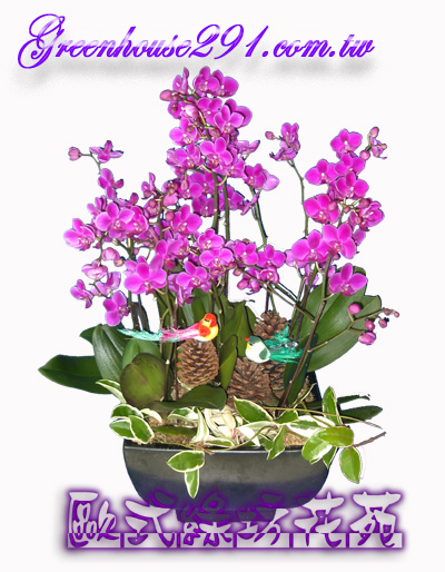 桃園優質花店推薦~歐式綠坊花苑 - 20111029192818_889627391.jpg(圖)