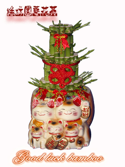 楊梅花店~歐式綠坊花苑~楊梅市花店.楊梅埔心花店.楊梅富岡花店.楊梅幼獅工業區花店 - 20111029194019_890259854.jpg(圖)