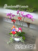 桃園縣花店~歐式綠坊花苑~桃園市花店.桃園花店.桃園縣政府花店.花苑.花坊.鮮花店.園藝店_圖片(3)