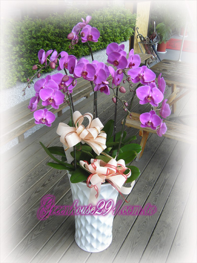 龍潭花店~歐式綠坊花苑~龍潭鄉花店 - 20121115162349_968870730.jpg(圖)