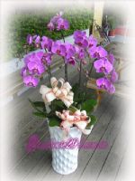 龍潭花店~歐式綠坊花苑~龍潭鄉花店_圖片(3)