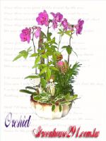 大溪花店~歐式綠坊花苑~大溪鎮花店_圖片(3)