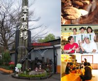 【南投 豐年靈芝菇類生態農場】樂活採菇新生活_圖片(1)