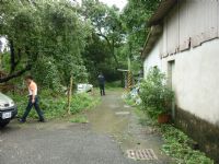 嘉義縣中埔鄉 超俗平坦農地 0988-876-696 賴先生_圖片(1)