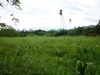 嘉義縣中埔鄉 超俗平坦農地 0988-876-696 賴先生_圖片(3)