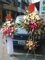 員林蘭花 大村花店 社頭花店 埔心盆景永靖盆栽 田尾罐頭塔 田中花環 北斗花苑_圖片(2)